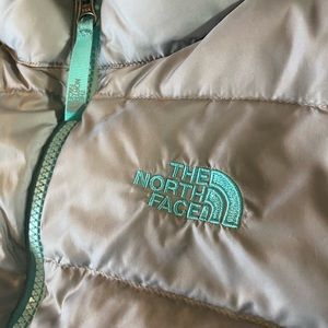 NorthFace 550 Puffer